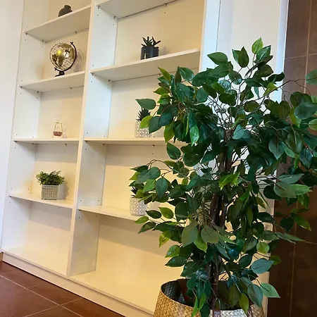 Casa Terra E Mar شقة نازاريه